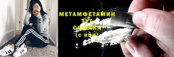прущие грибы Грязи