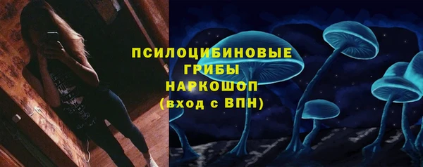 прущие крисы Алзамай