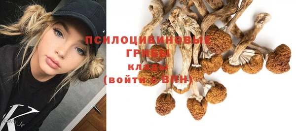 стаф Абаза